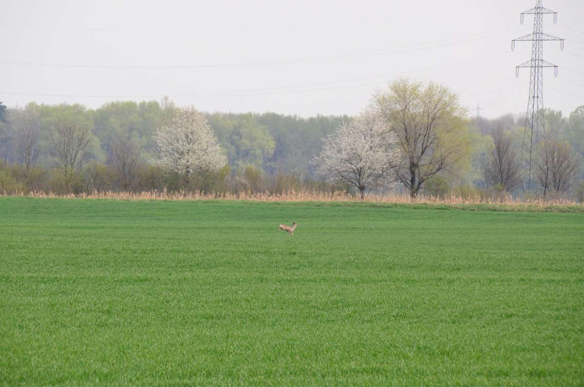 2014-03-31 15-10-28.JPG